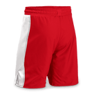 Side Panel Board Shorts